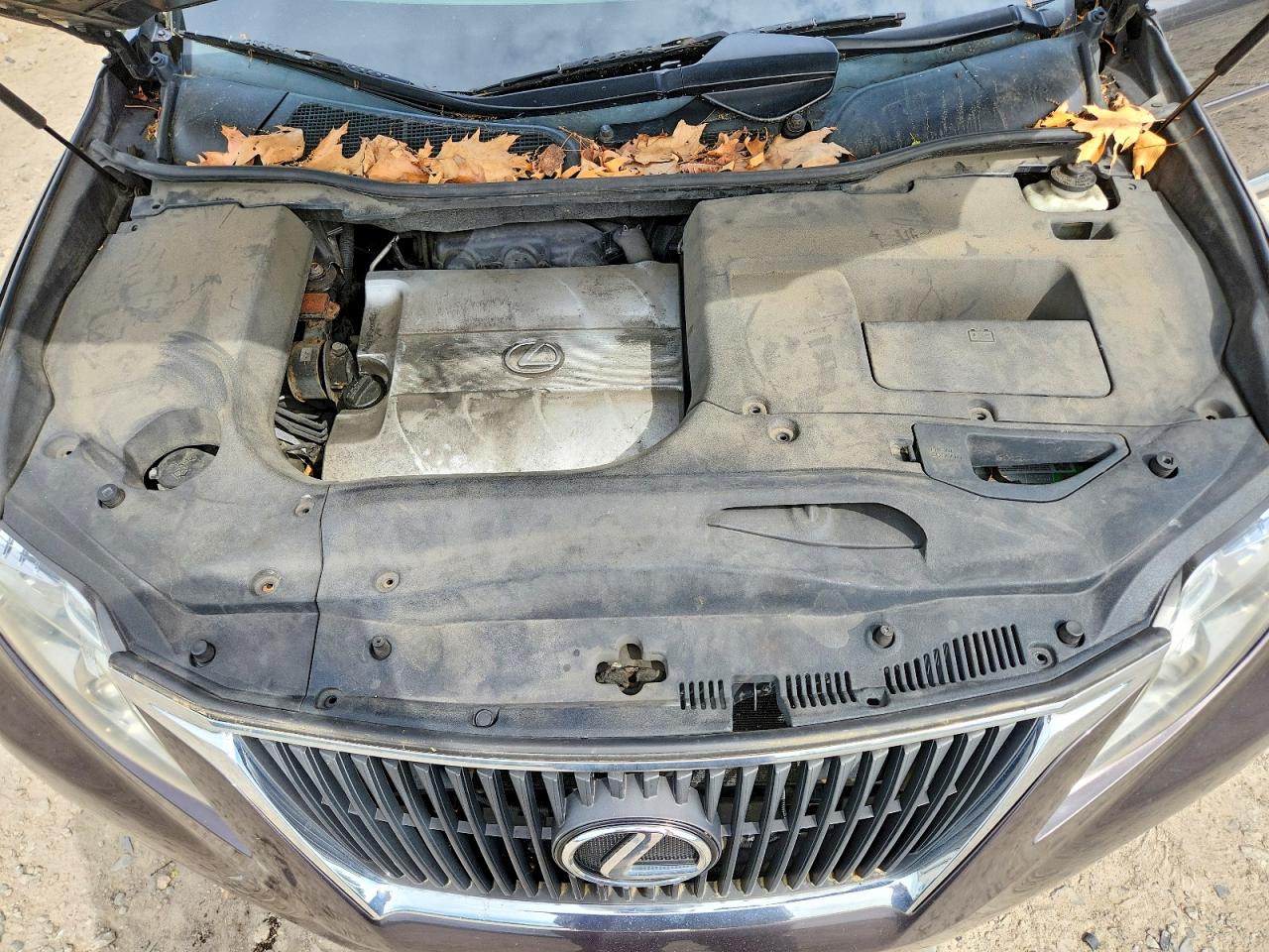 Lexus RX 350