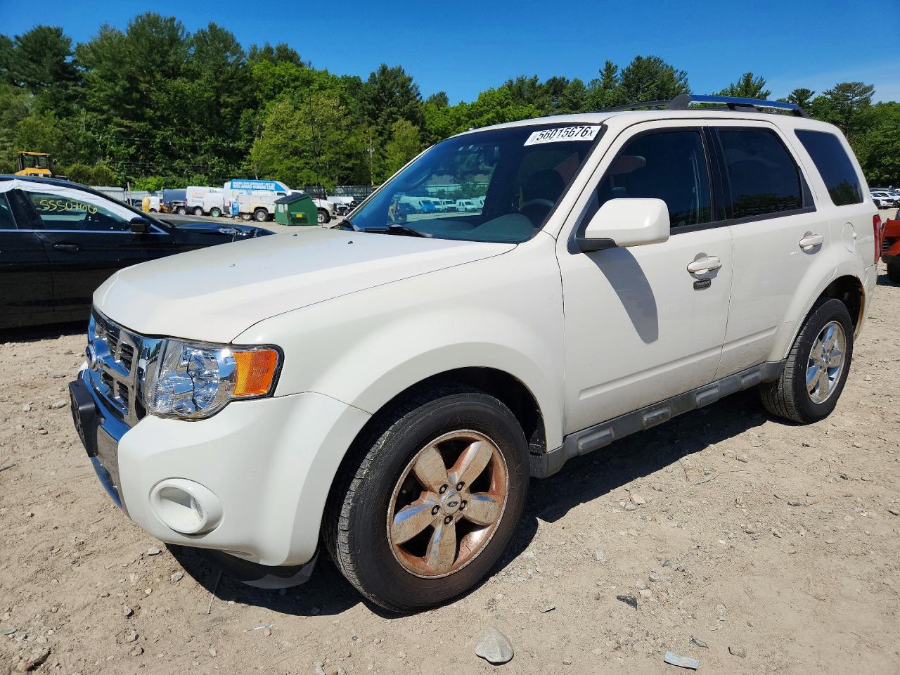 Salvage Ford Escape Image