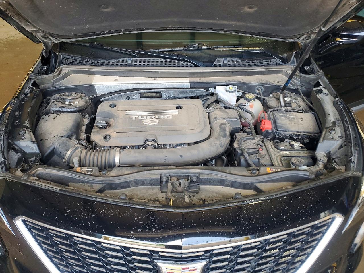 Cadillac XT4 Premium Luxury
