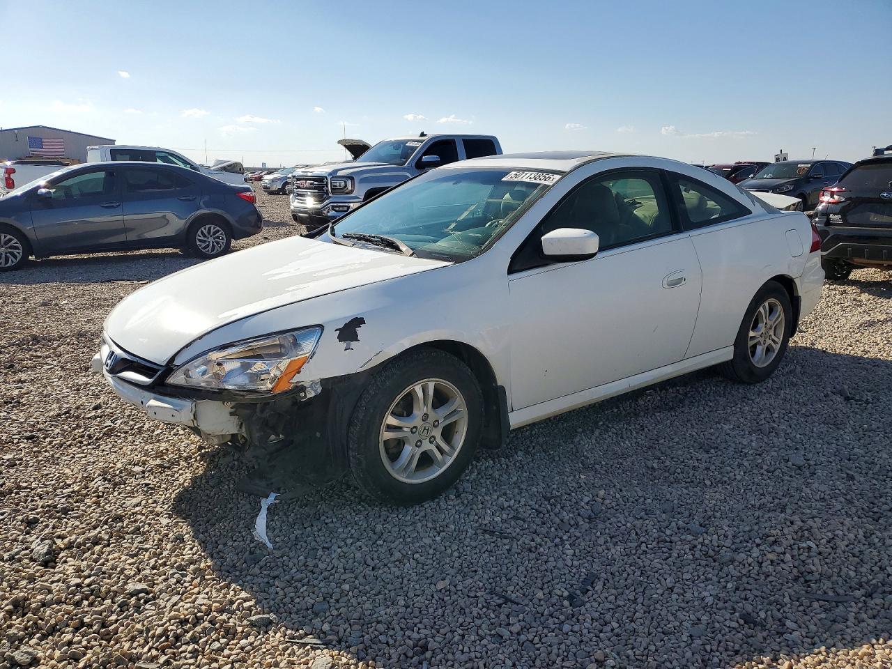 Salvage Honda Accord Image