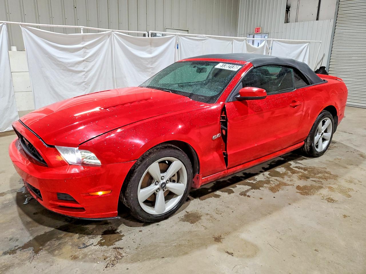 Salvage Ford Mustang Image