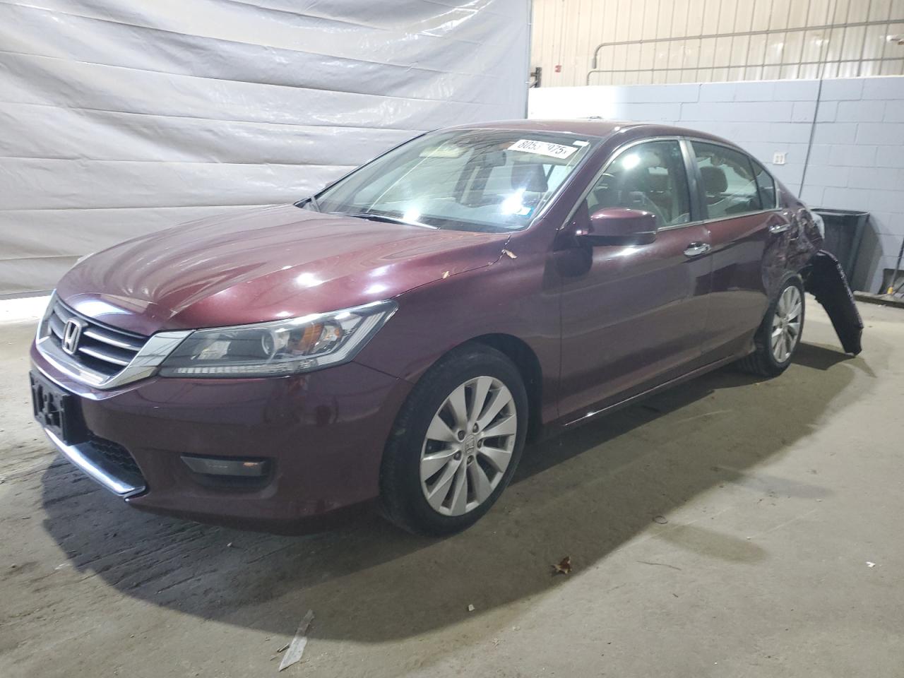 Salvage Honda Accord Image