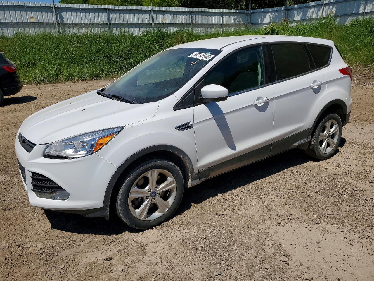 Salvage Ford Escape Image