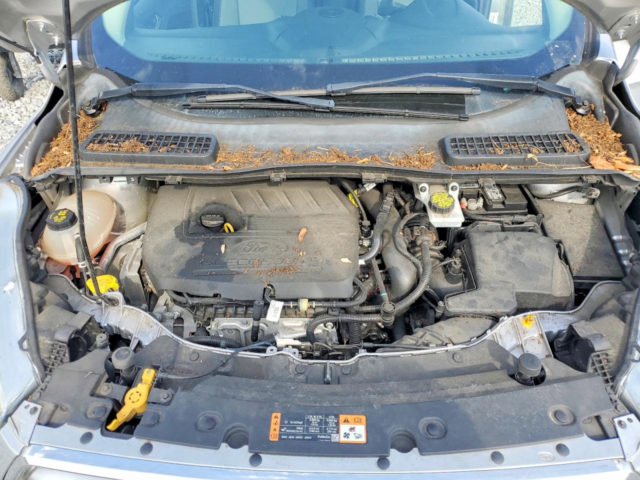 Ford Escape Se