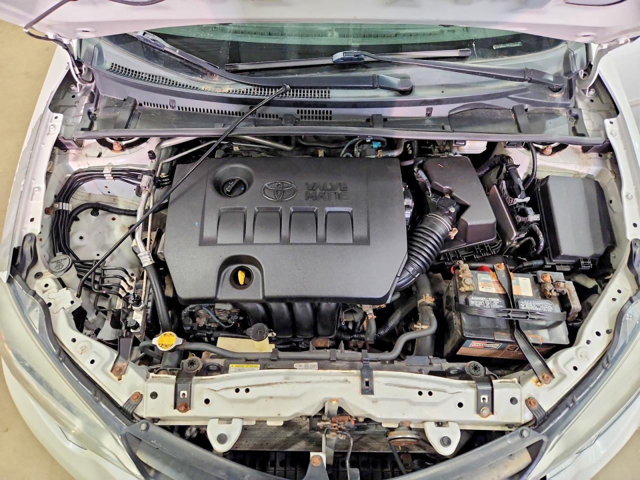 Toyota Corolla Le Eco Plus