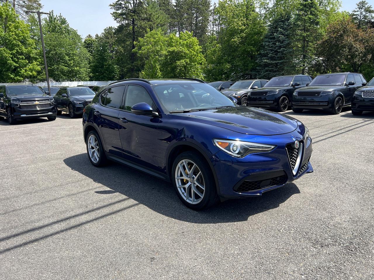 Salvage Alfa Romeo Stelvio Image