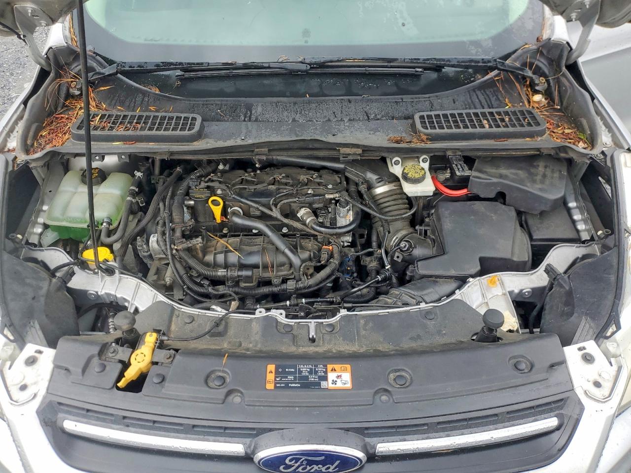 Ford Escape Se