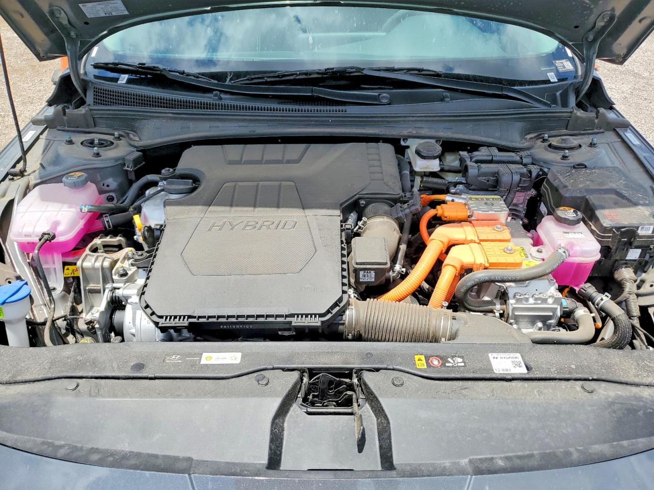 Hyundai ELANTRA Blue