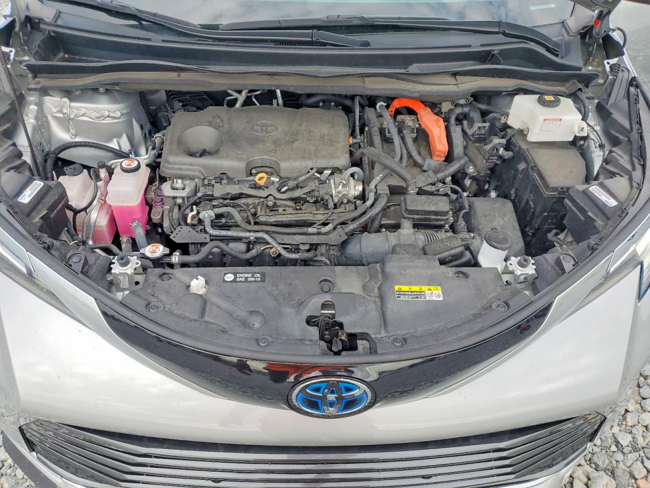 Toyota Sienna Limited 7-passenger
