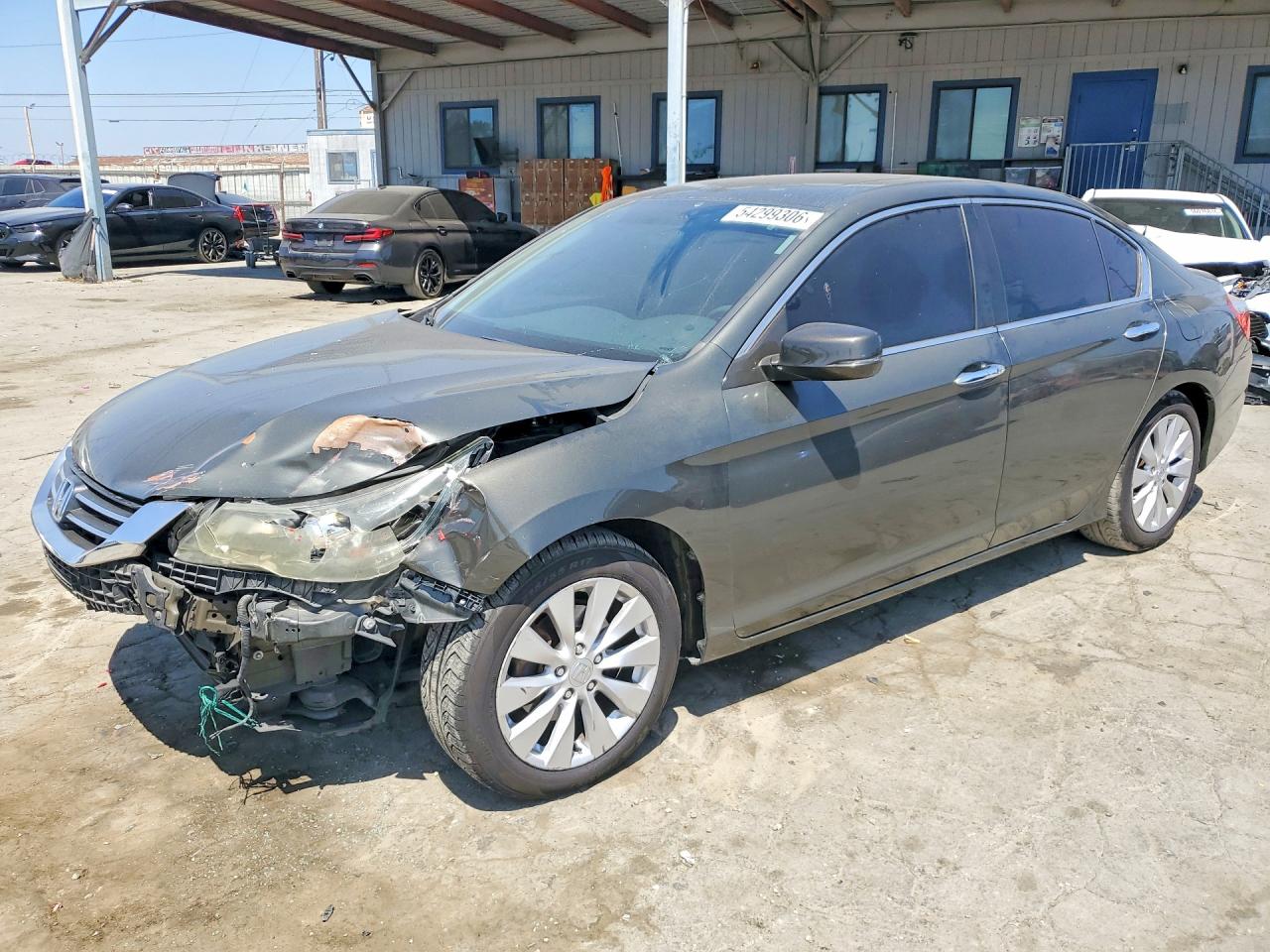 Salvage Honda Accord Image