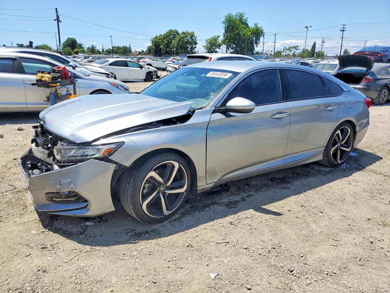 Salvage Honda Accord Image