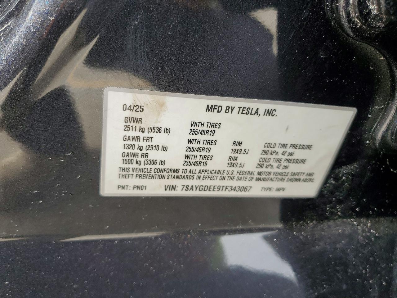 Tesla Model Y
