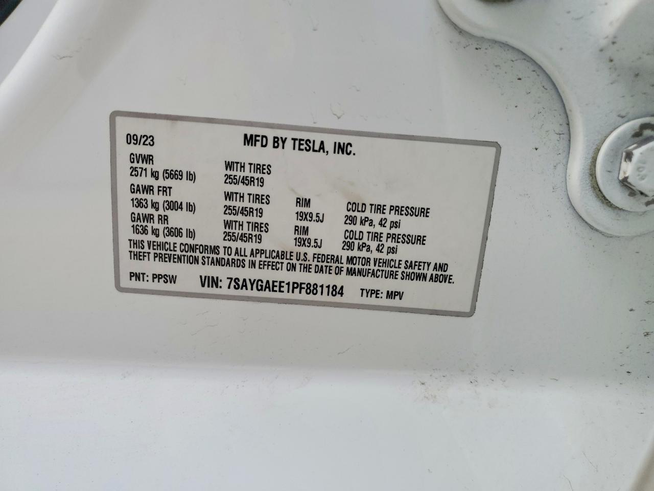 Tesla Model Y