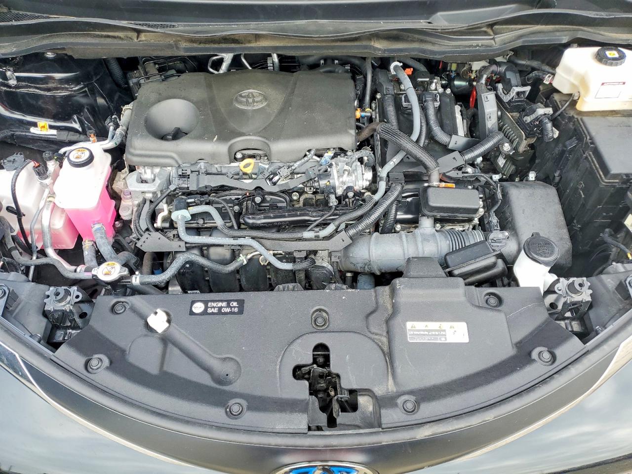 Toyota Sienna Xle 7-passenger