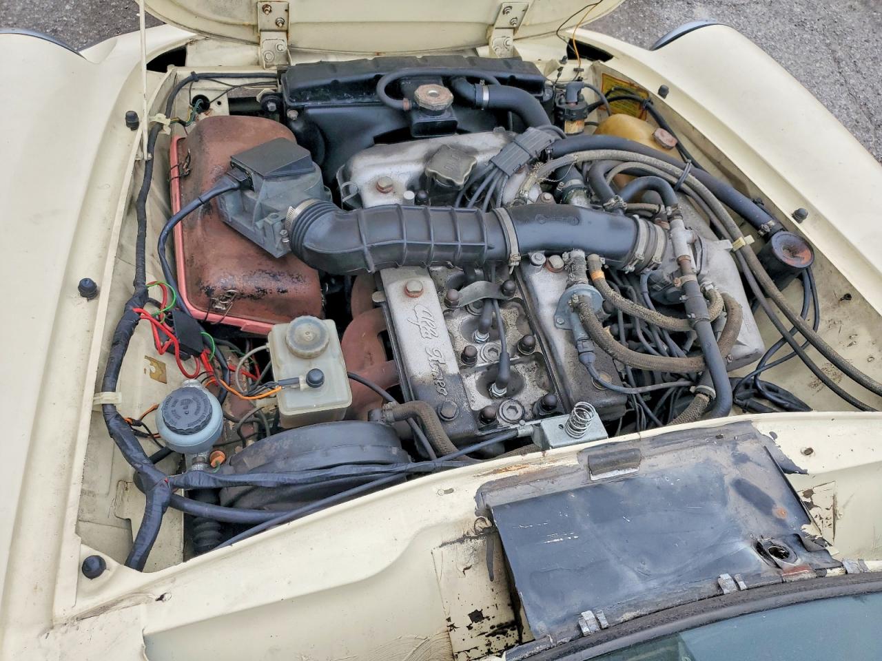 Alfa Romeo Veloce 2000 Spider