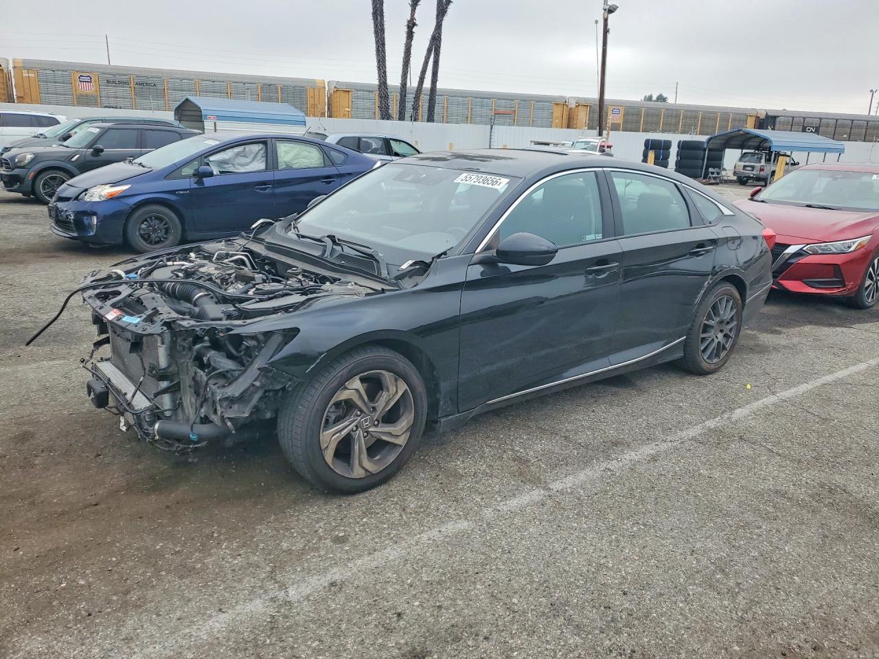 Salvage Honda Accord Image