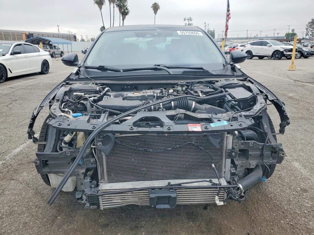 Honda Accord Exl