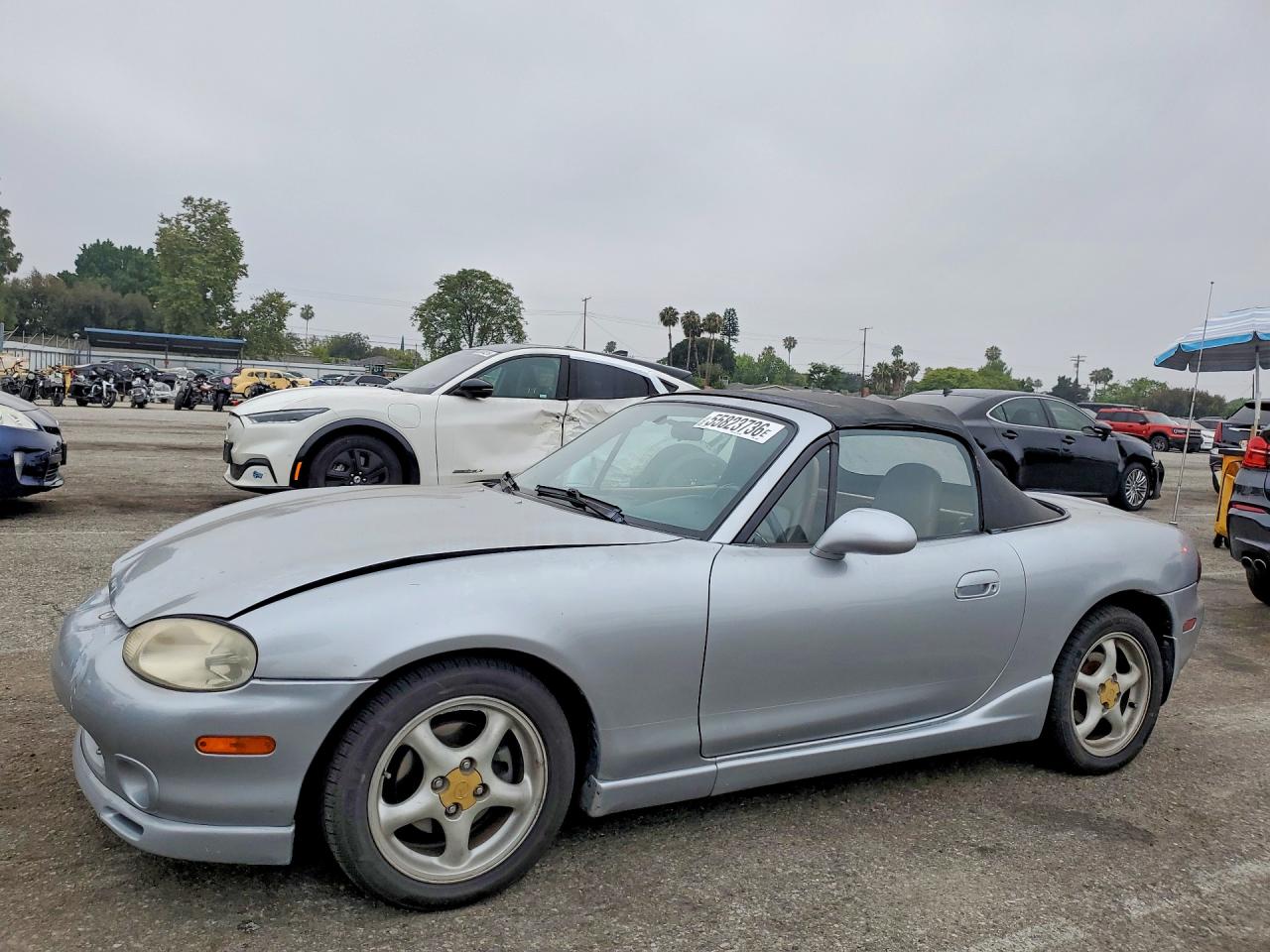 Salvage Mazda Mx5 Image