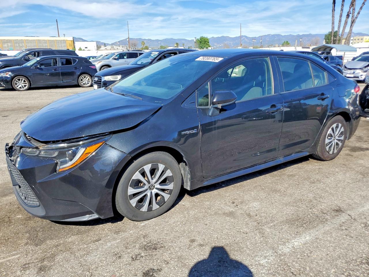 Salvage Toyota Corolla Image