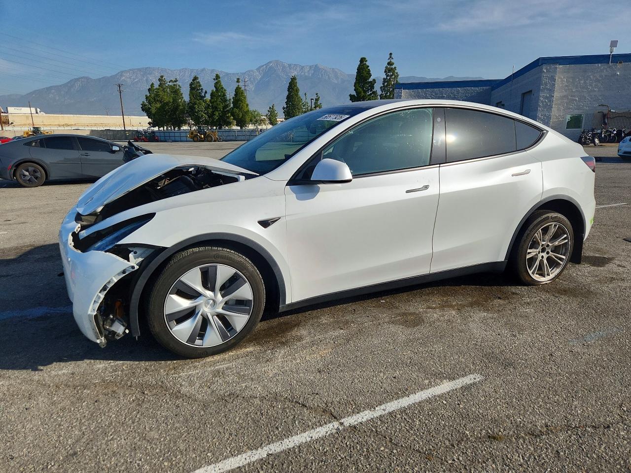 Salvage Tesla Model Y Image