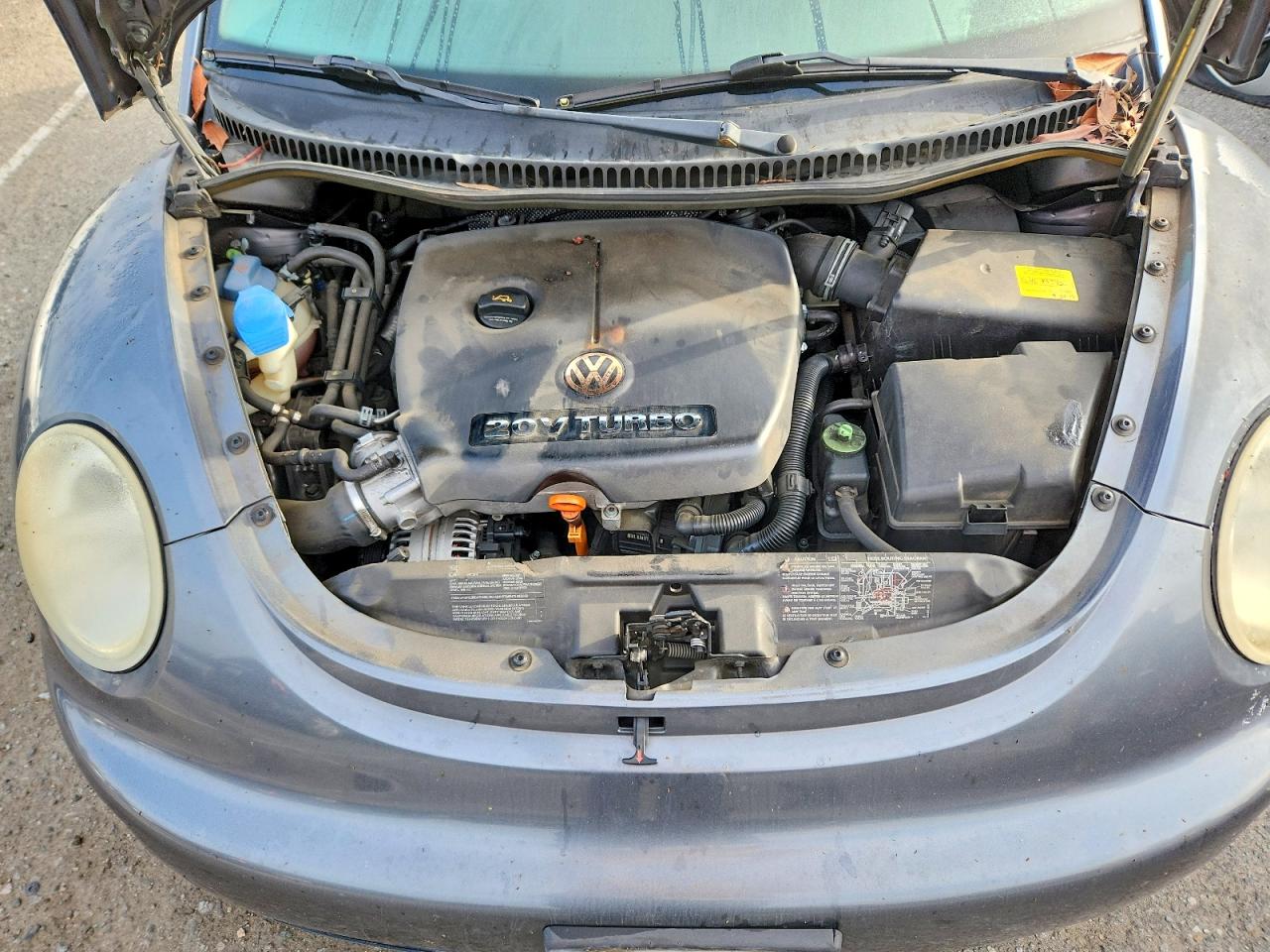 Volkswagen Beetle Gls