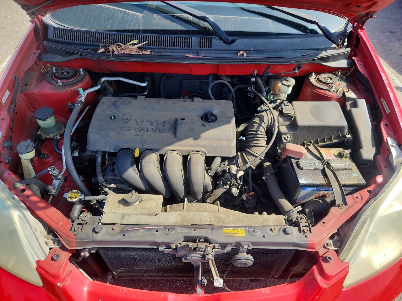Toyota Corolla Xr