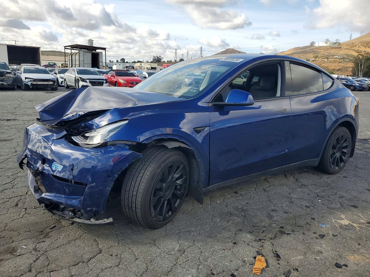 Salvage Tesla Model Y Image