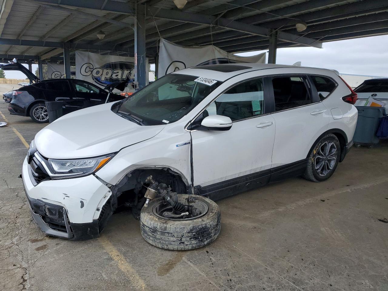Salvage Honda Crv Image