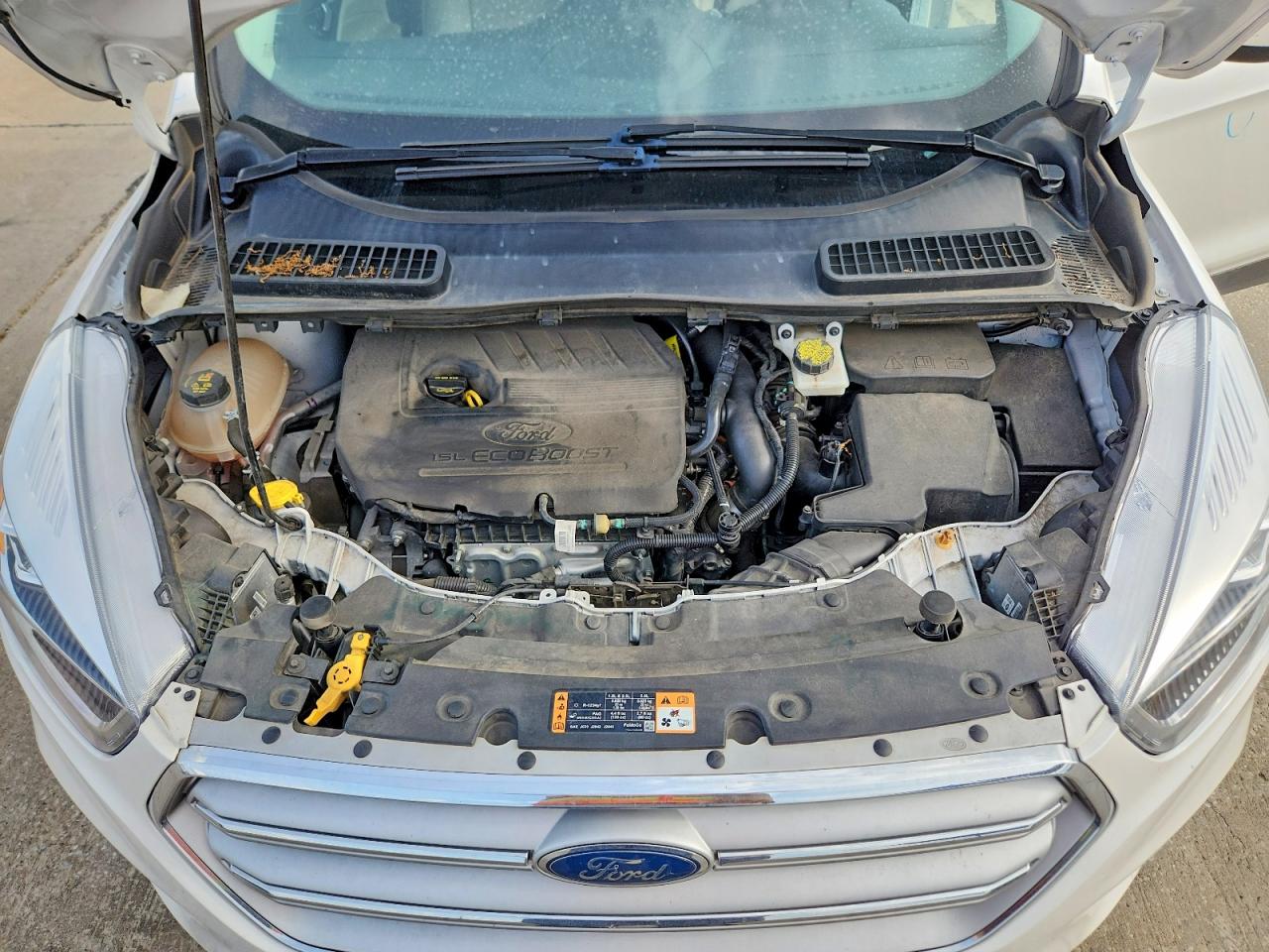 Ford Escape Sel