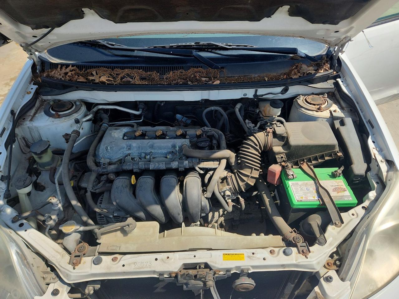 Toyota Corolla Xr