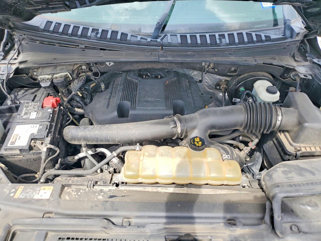 Ford Expedition Xlt