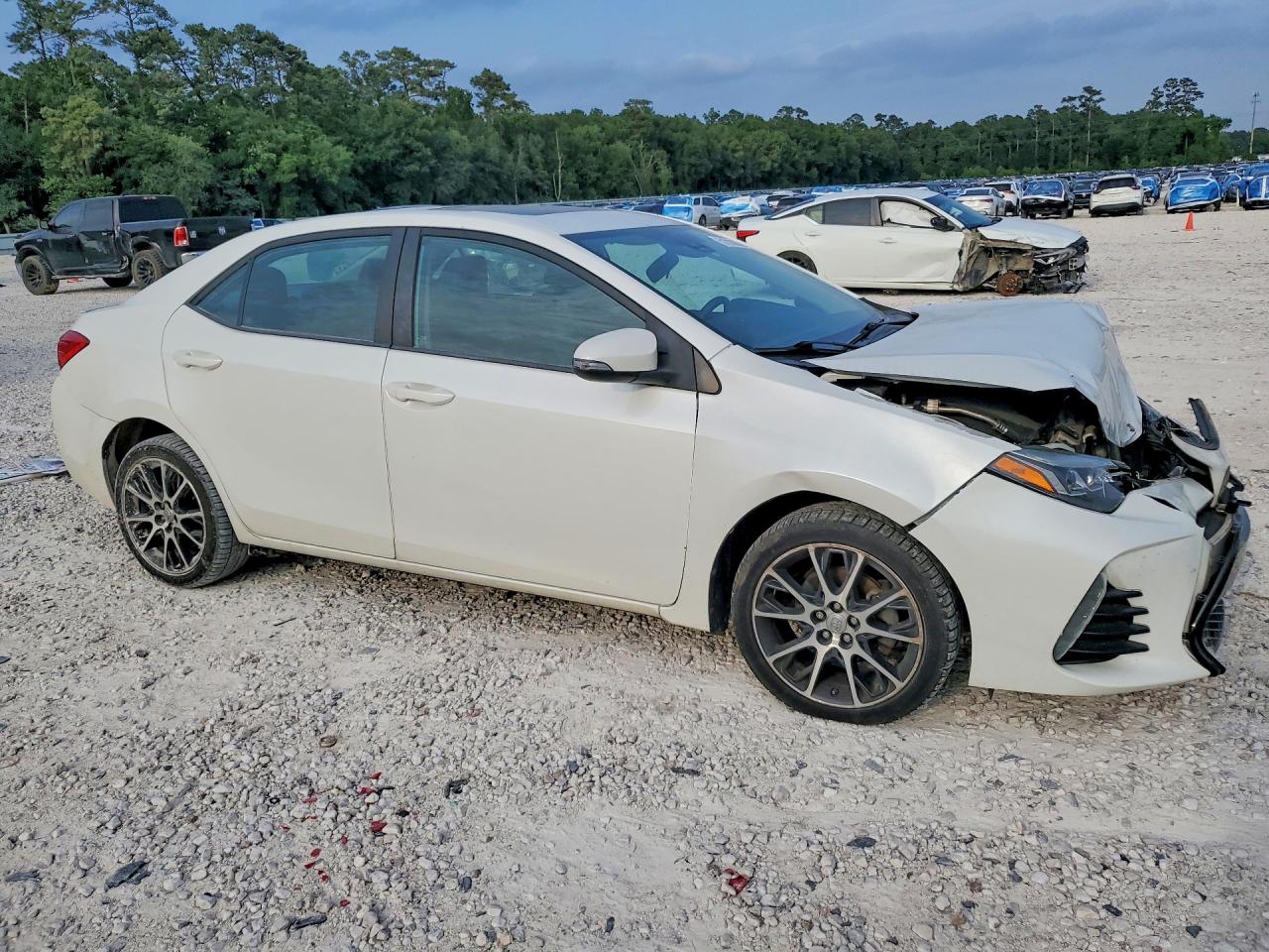 Toyota Corolla 50th Anniversary Special Edition