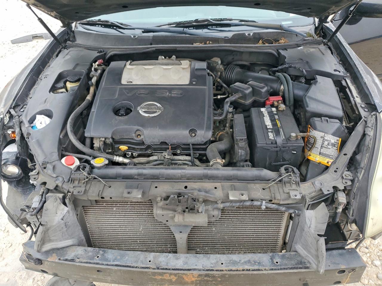 Nissan Maxima