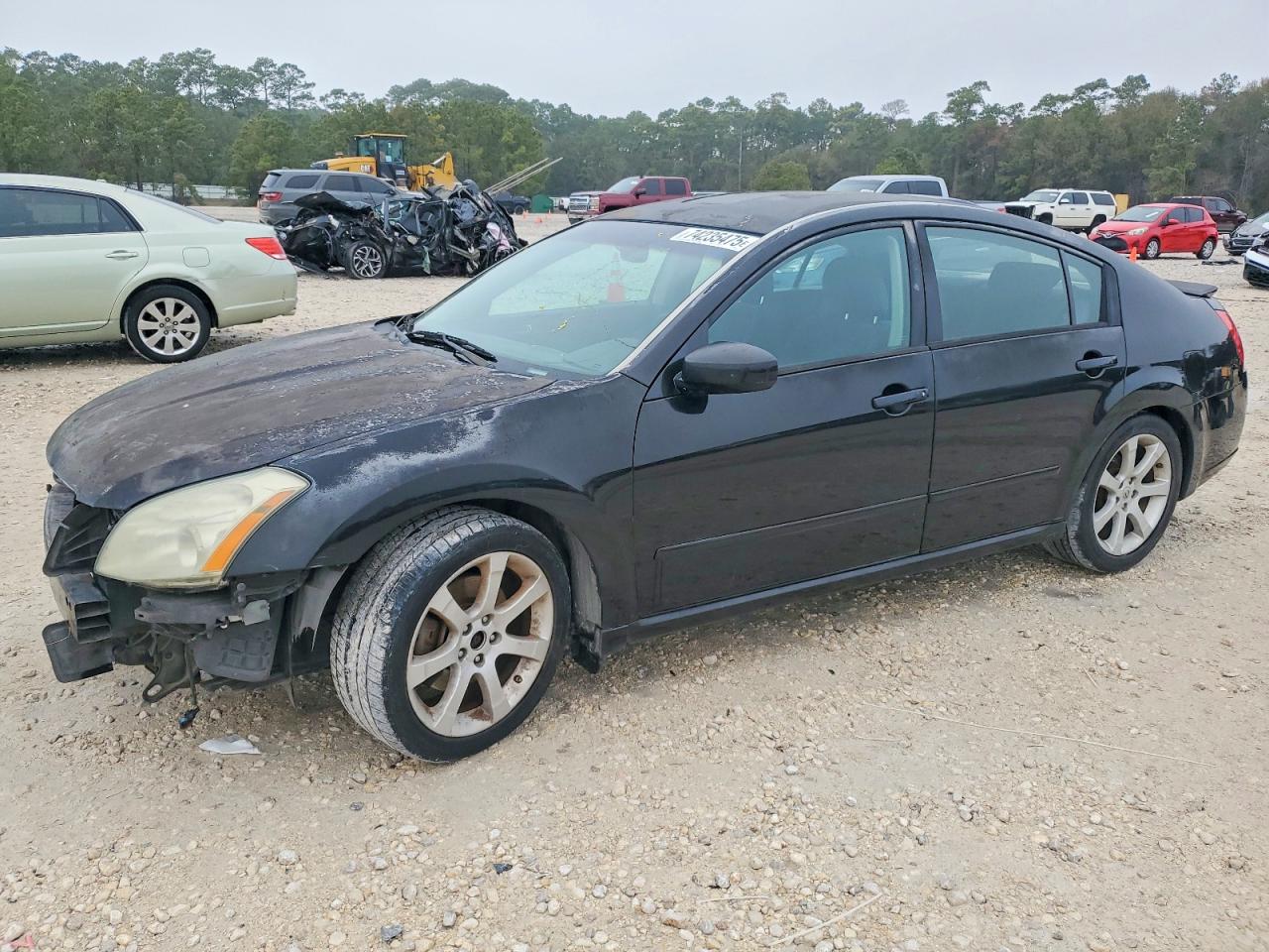 Salvage Nissan Maxima Image