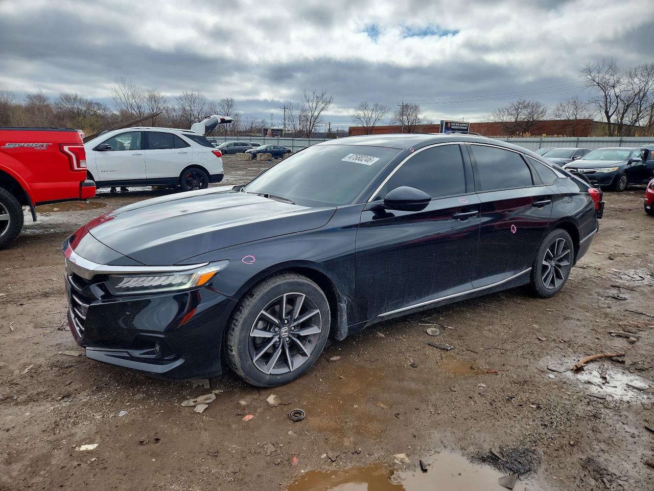 Salvage Honda Accord Image