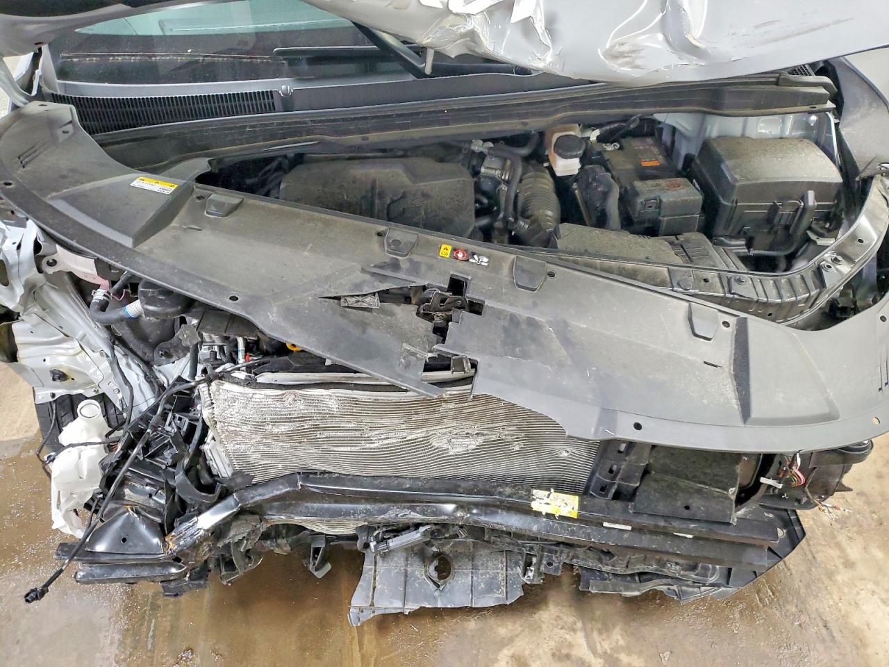 Kia Carnival Sx Prestige