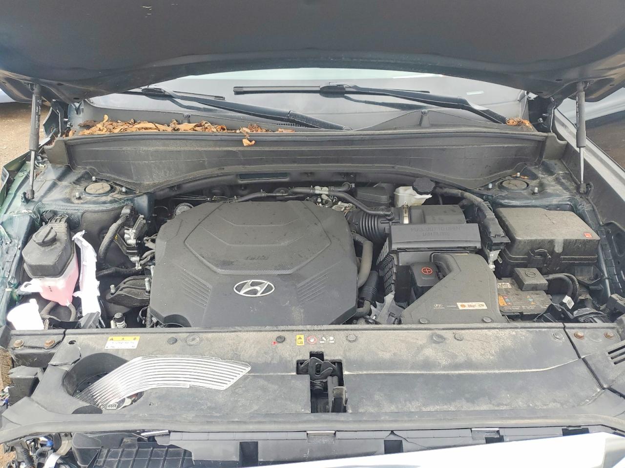 Hyundai PALISADE Calligraphy