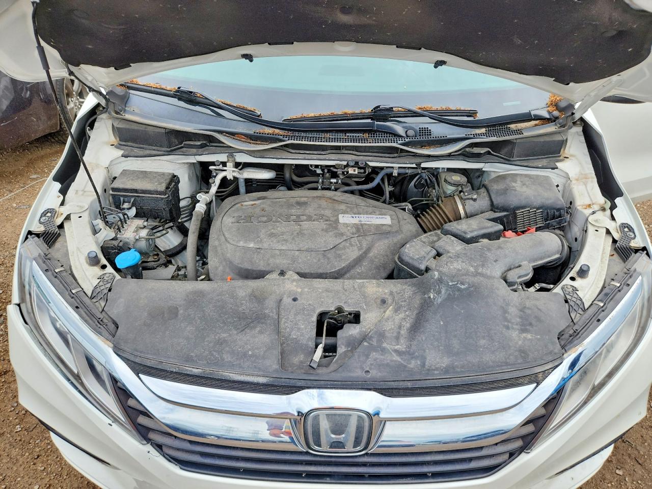 Honda Odyssey Exl