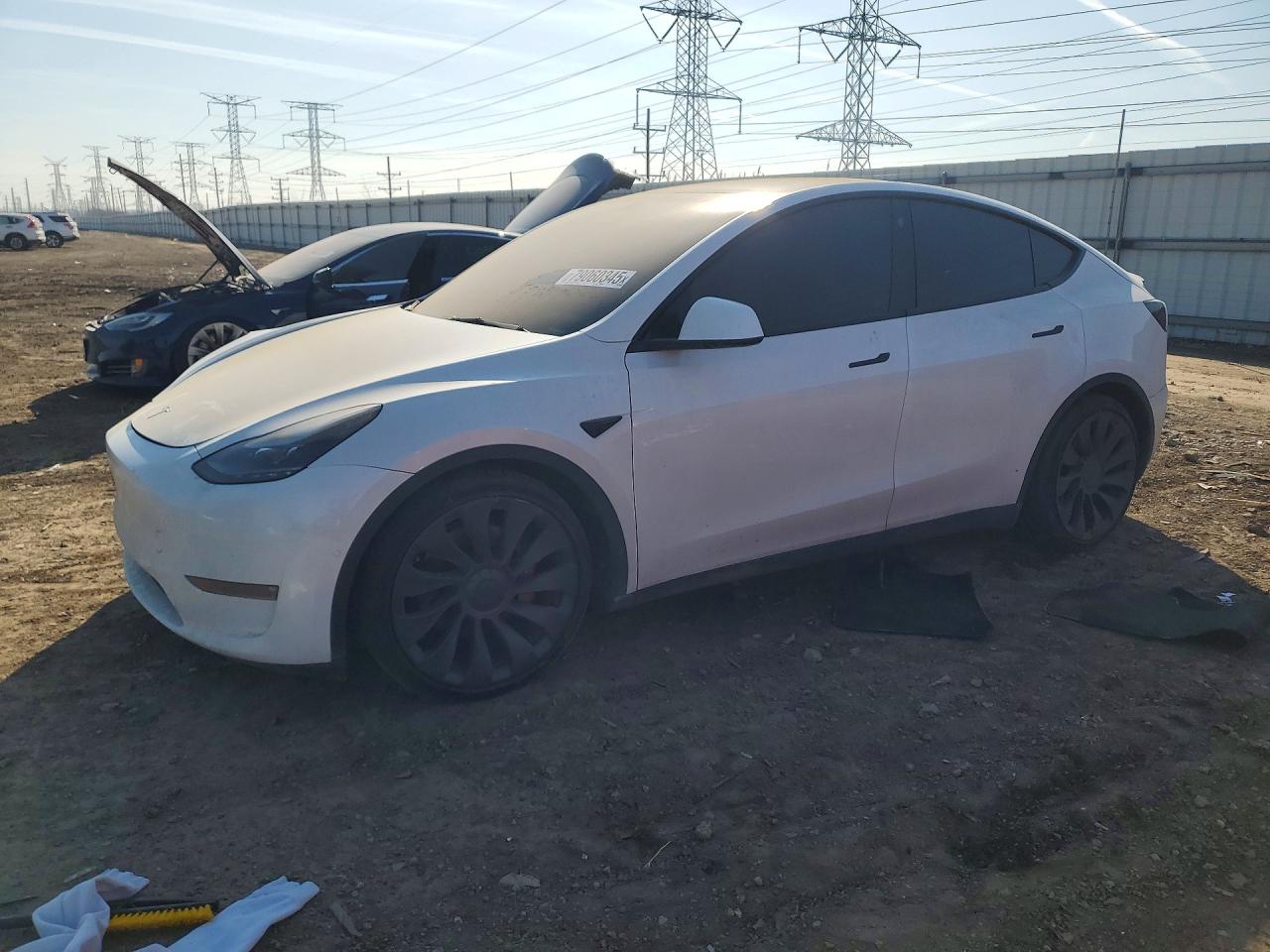 Salvage Tesla Model Y Image