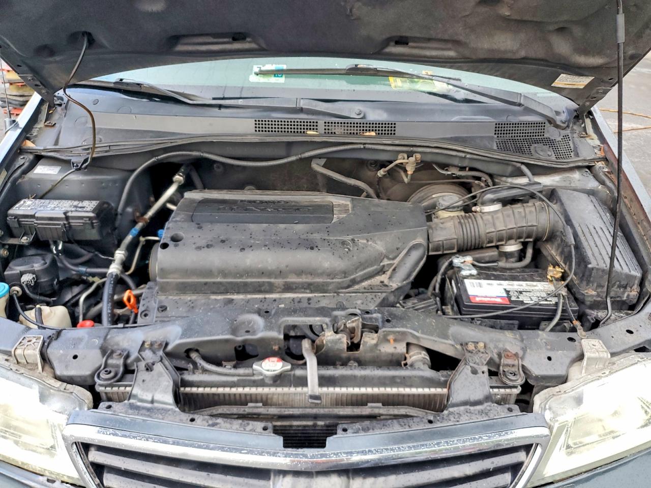 Honda Odyssey Exl