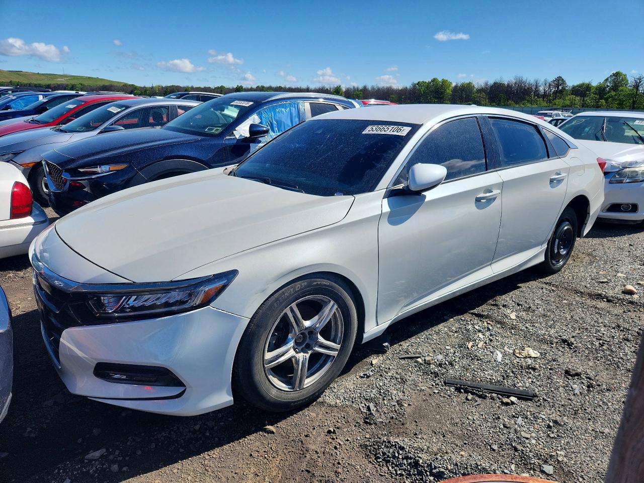 Salvage Honda Accord Image