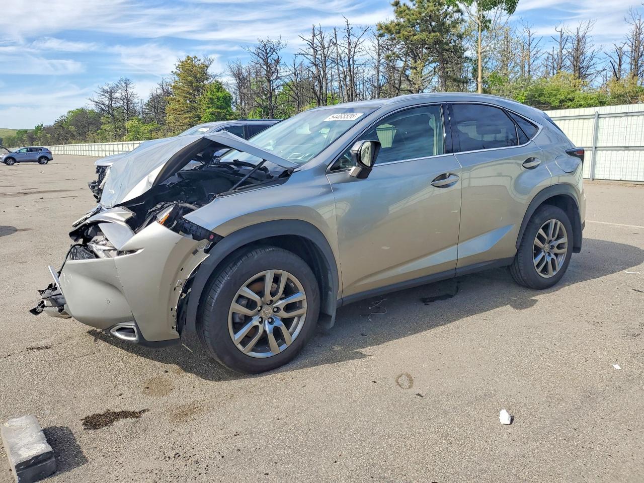 Salvage Lexus NX Image