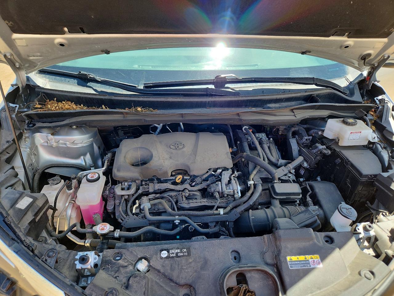Toyota Sienna Le