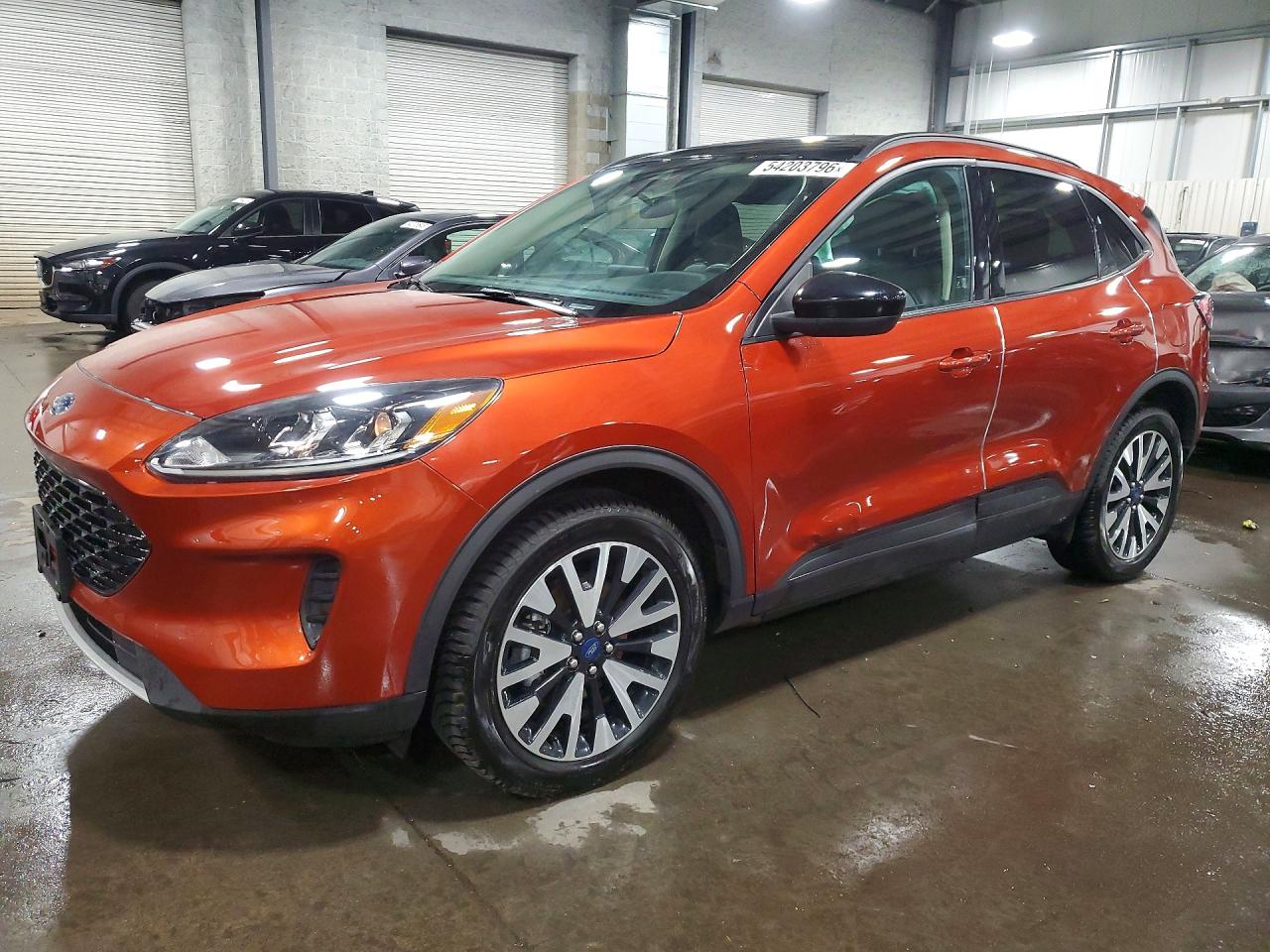 Salvage Ford Escape Image
