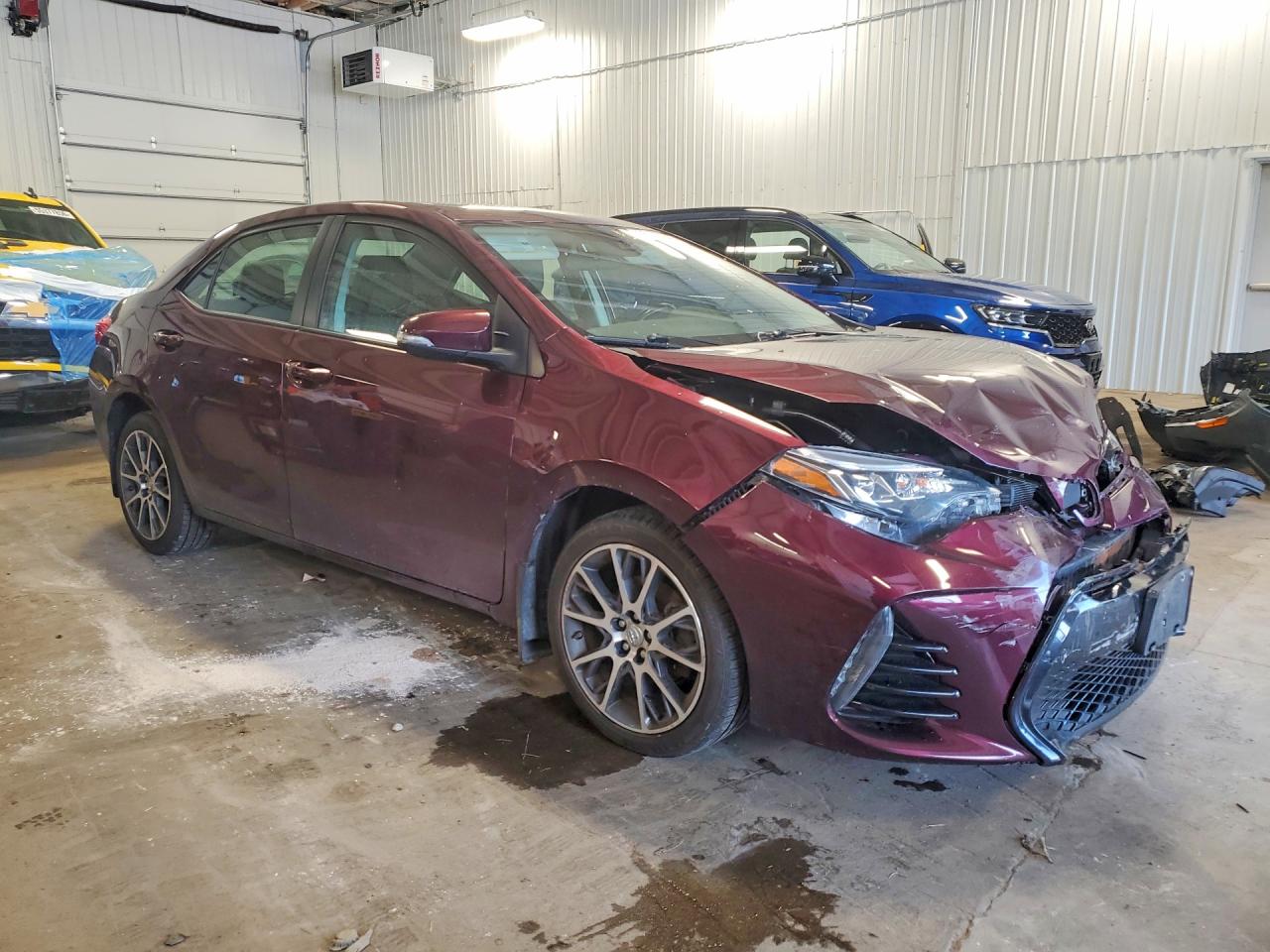 Toyota Corolla 50th Anniversary Special Edition