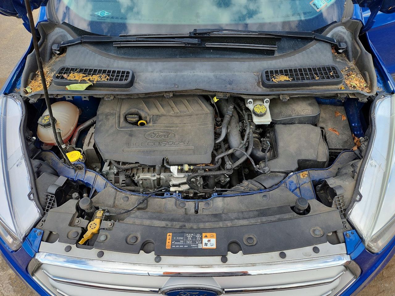 Ford Escape Se