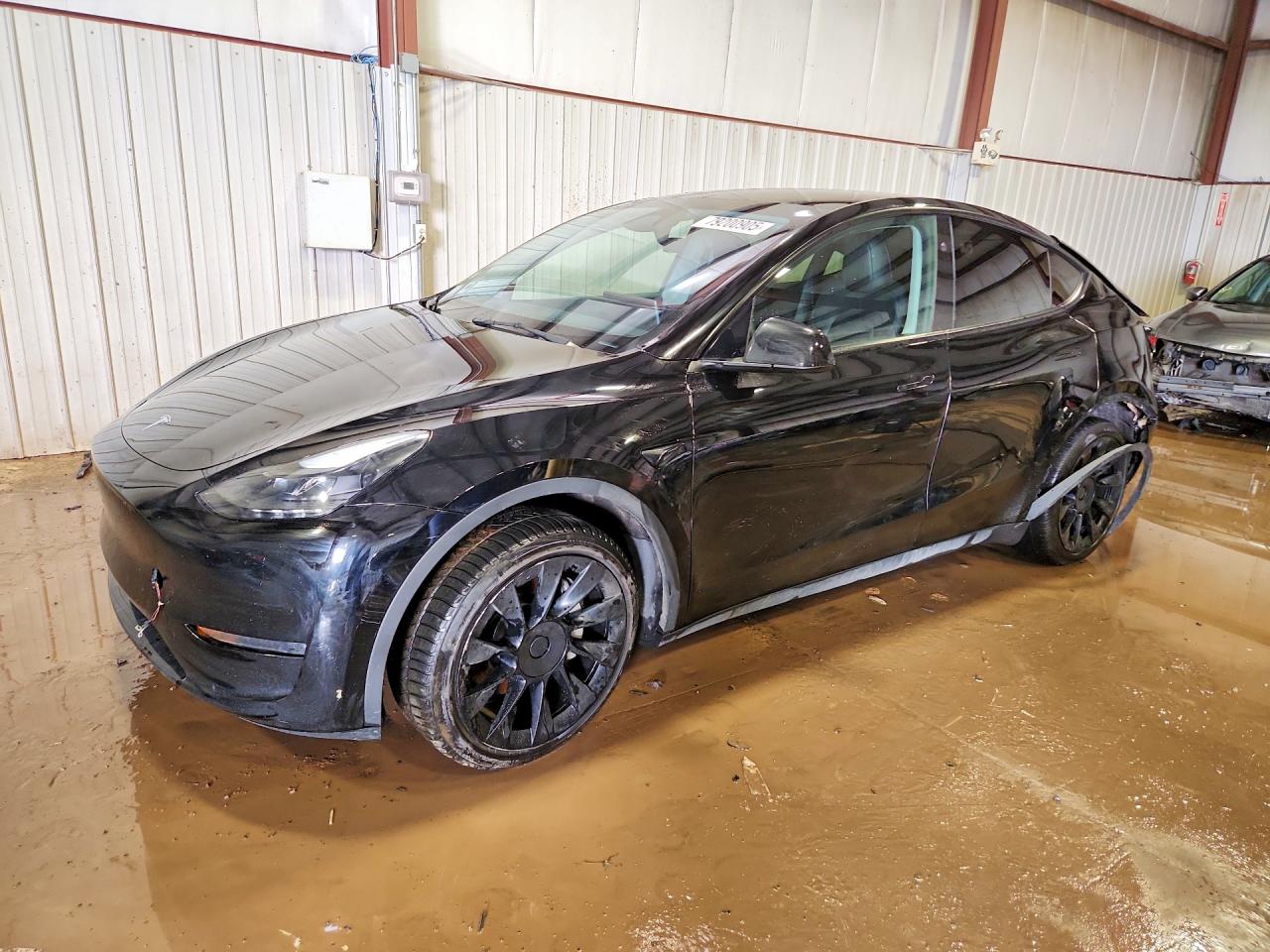 Salvage Tesla Model Y Image