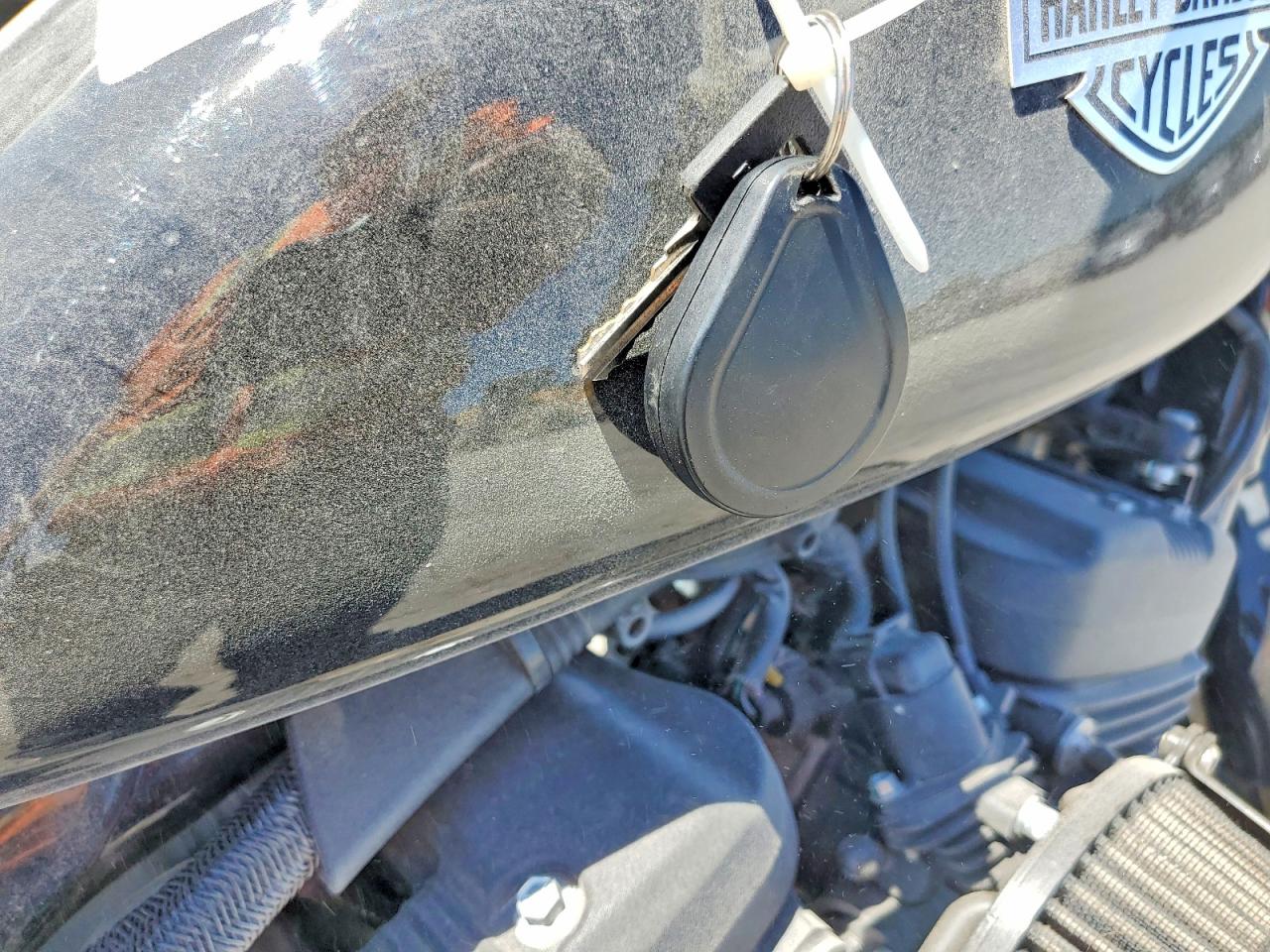 Harley-Davidson Sprtstr120 Ns