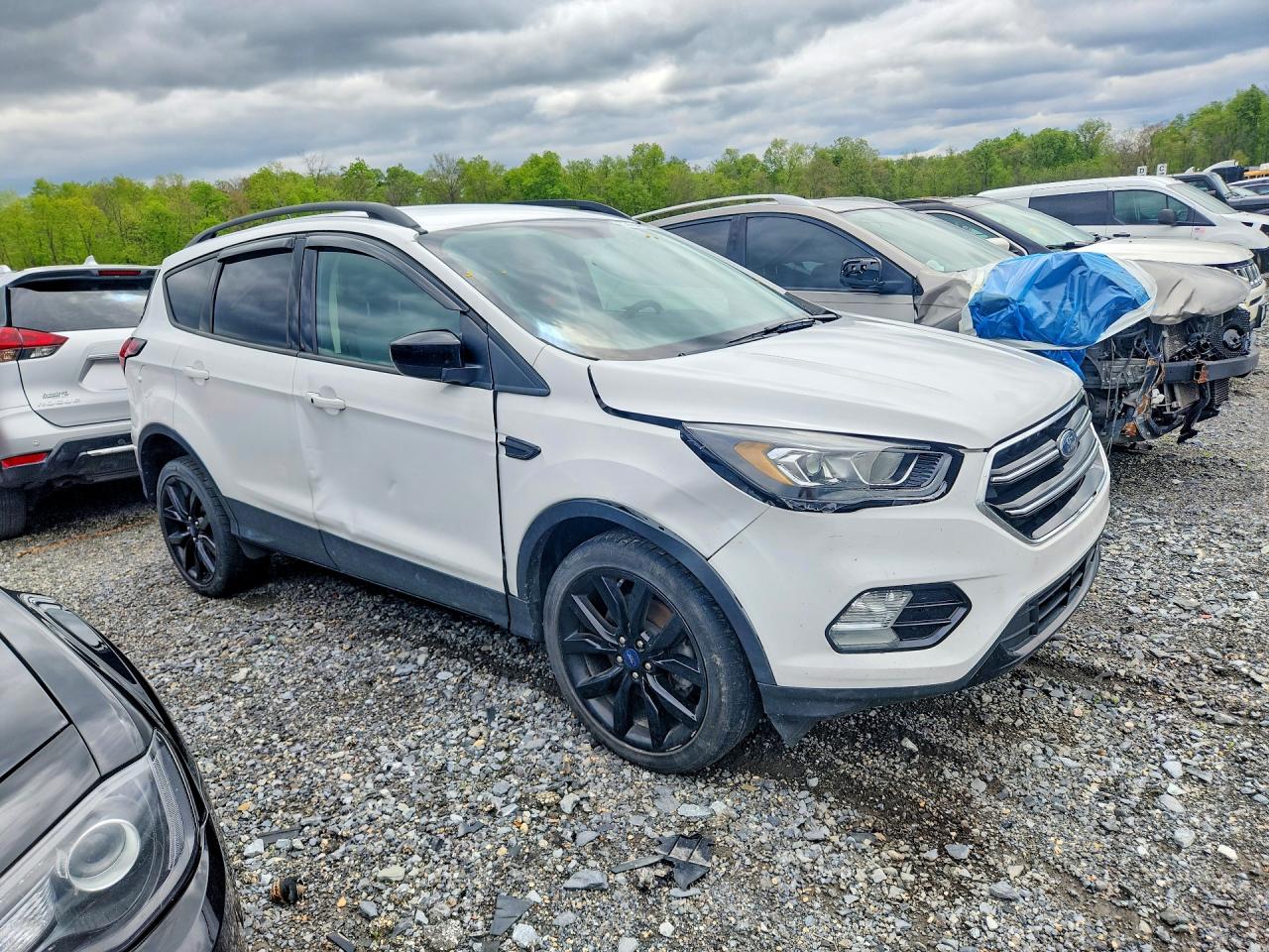 Ford Escape Se