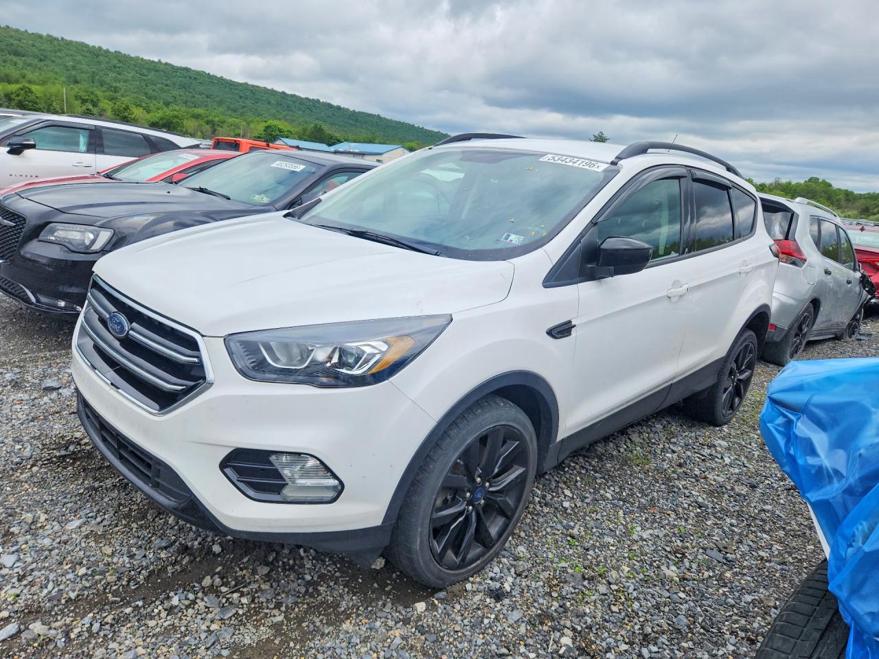 Salvage Ford Escape Image